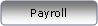 Rounded Rectangle: Payroll